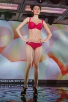 Модель нижнего белья Lingerie Fashion Weekend