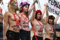 Голый протест активисток Femen