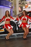 Девушки Motul на ММАС 2016