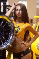 Модель CarPerformance на выставке ММАС 2016