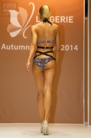 Модель в бикини на показе Lingerie-Expo 2014