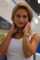 Модель московского автосалона 2016