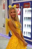 Модель выставки ММАС 2016