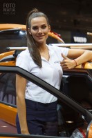 Стендистка Hyundai на выставке ММАС 2016