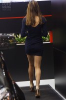 Модель Московского Автосалона 2016