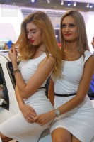 Модель выставки ММАС 2016