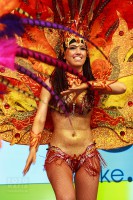 бразильский карнавал фотофорум 2013
