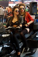 Мото Парк 2014 go-go девушка в чулках