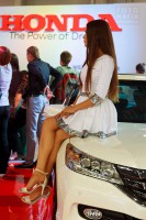 модель на выставке ММАС 2014