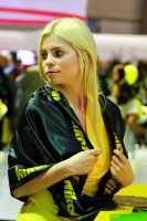 стендистка nikon на фотофоруме 2012