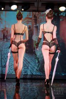 Lingerie Show-Forum 2016