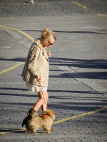 девушка с собачкой на Манежной площади