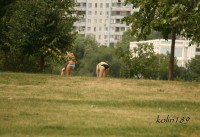 Фотоохота на загорающих девушек