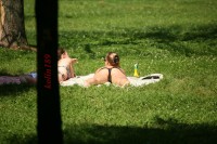 Фотоохота на загорающих девушек