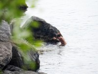 Девушка плавает без купальника